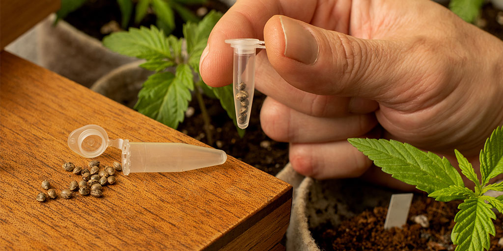 4 Effective Marketing Tips For Cannabis Dispensaries